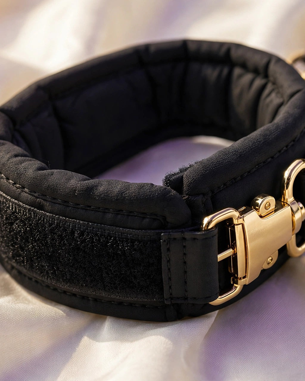 Under-the-Bed Restraint System · Special Edition